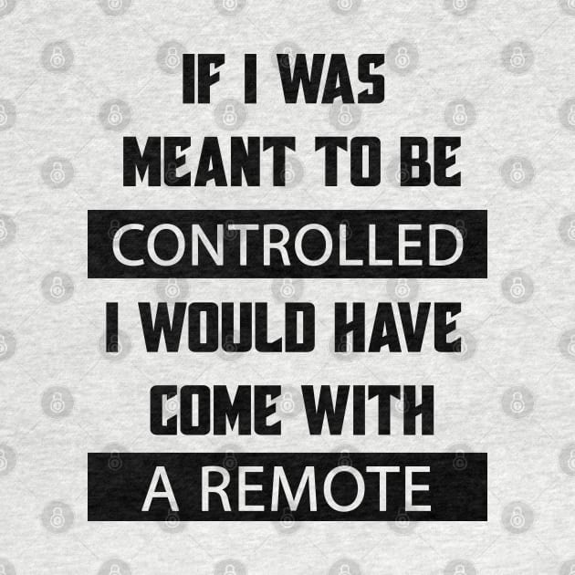 If I Was Meant To Be Controlled I Would Have Come With A Remote by Matthew Ronald Lajoie